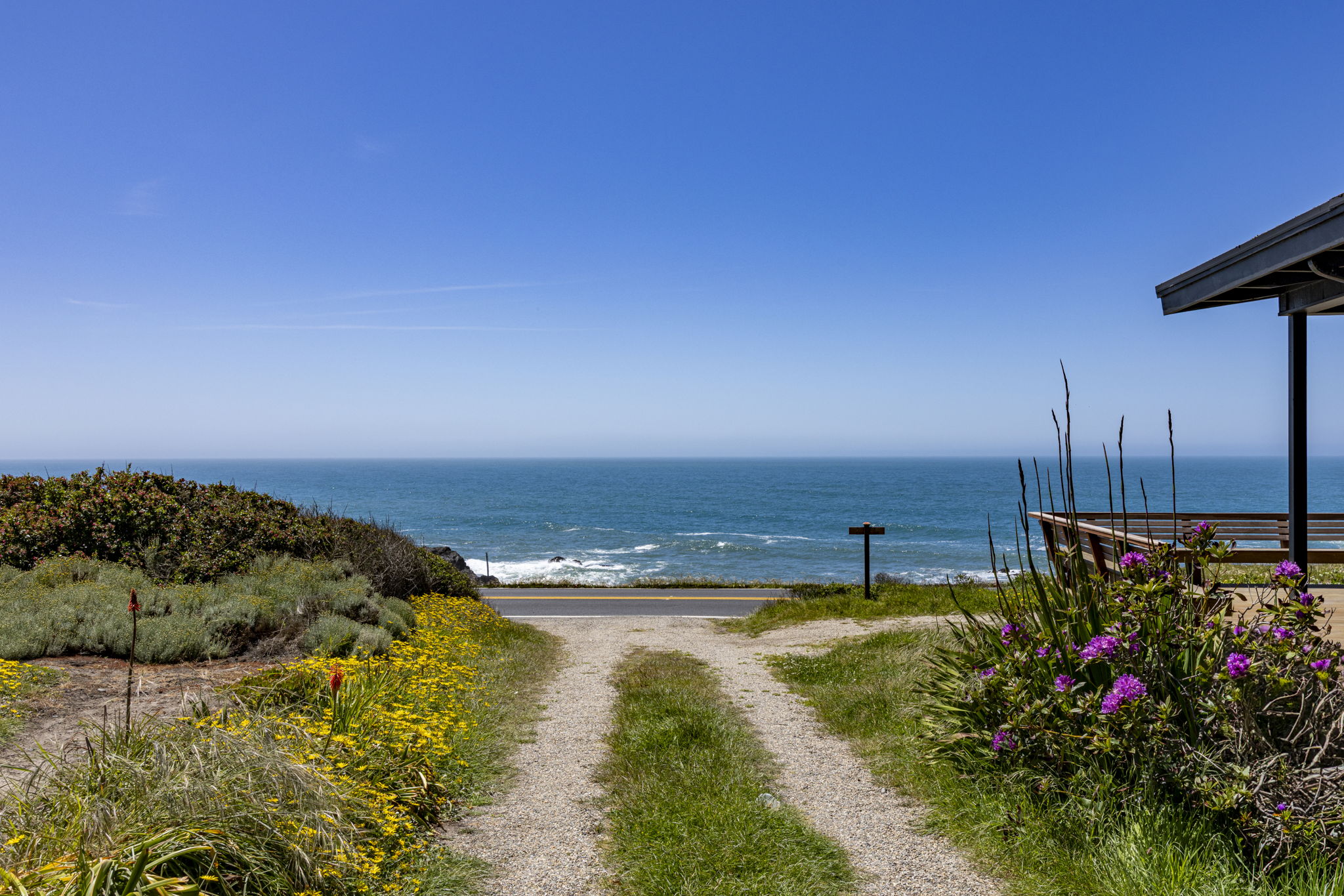Path leading to the beach